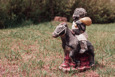 View of a dog on field