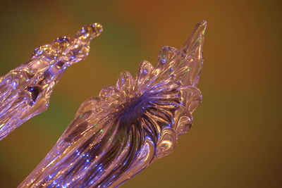 Close-up of water on flower against blurred background