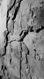 Close-up of wall