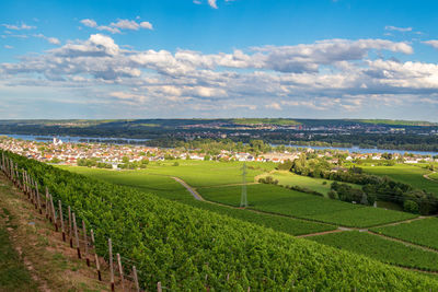 Panoramic view of agricultural field against sky