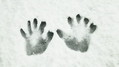 High angle view of snow on human hand