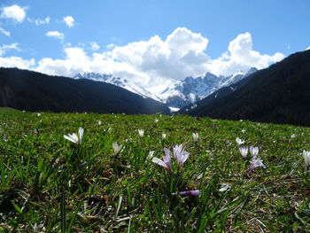 Scenic view of grassy field against cloudy sky