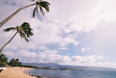 Palm trees on beach against cloudy sky