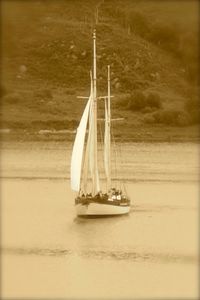 Boats sailing in sea