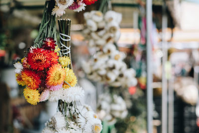 Close-up of red flower for sale at market