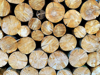 Full frame shot of logs in forest