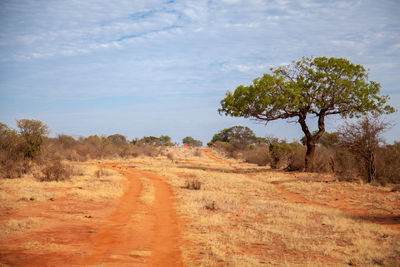 Dirt road amidst trees on field against sky