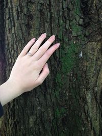 Cropped image of woman hand touching on tree trunk