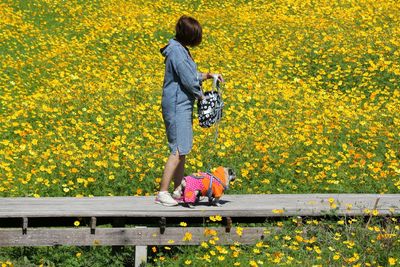 Rear view of woman standing on yellow flowering plants