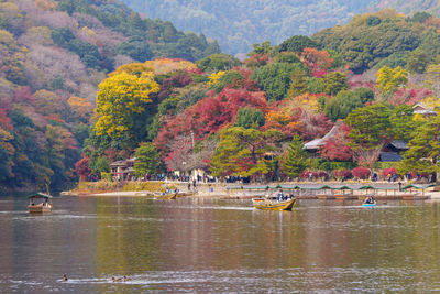 Scenic view of lake in forest