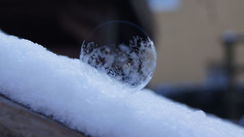 Close-up of frozen bubble on snow