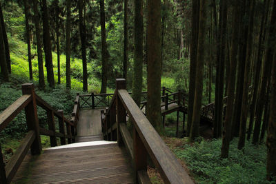 View of wooden footbridge in forest