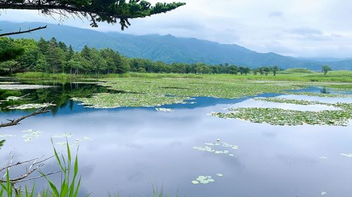 Scenic view of lake against sky 