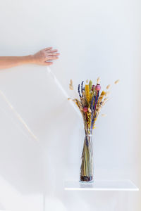 Close-up of hand in vase on table