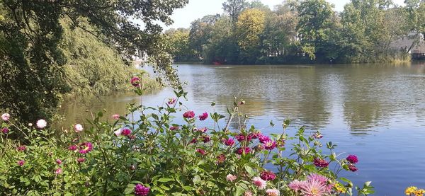 Scenic view of lake