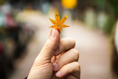 Close-up of woman holding maple leaf