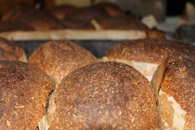 Close-up of bread in store