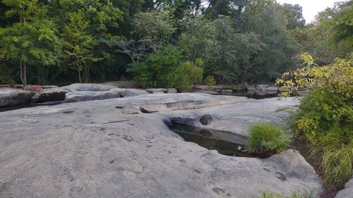 Stream flowing through rocks in forest