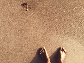 Low section of man standing on sand