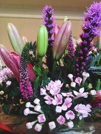 Close-up of purple flowers blooming outdoors