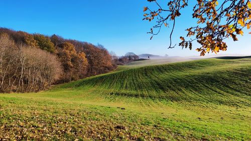 Scenic view of field against sky