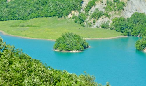 High angle view of lake amidst trees