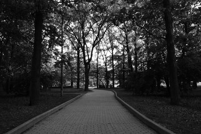 Railroad track amidst trees in forest