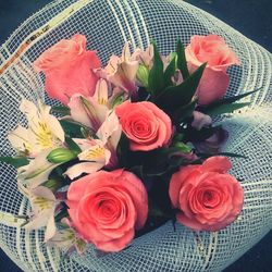 Close-up of red roses