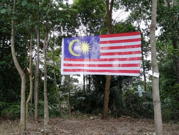 Red flag in a forest