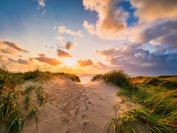 Scenic view of landscape against sky during sunset