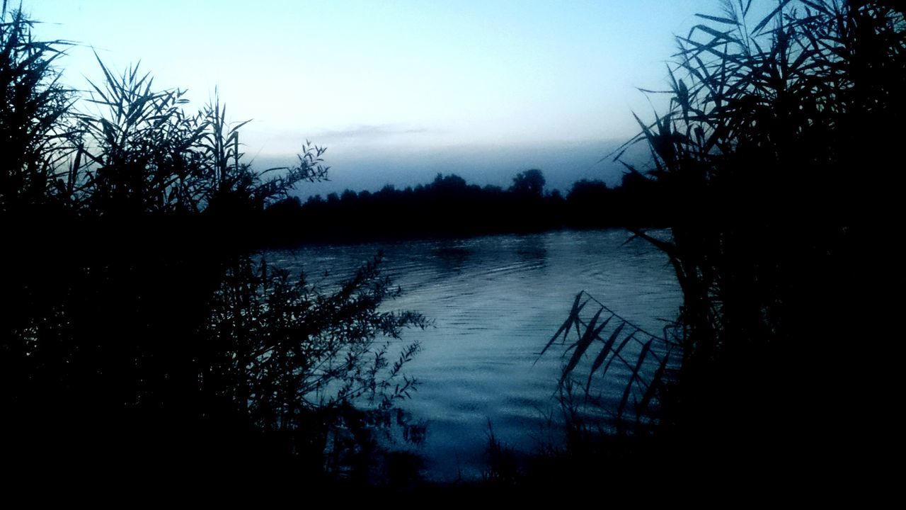 tree, water, nature, silhouette, lake, tranquil scene, tranquility, reflection, beauty in nature, scenics, no people, outdoors, sky, sunset, day