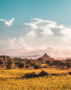 Scenic view of field against sky during sunset