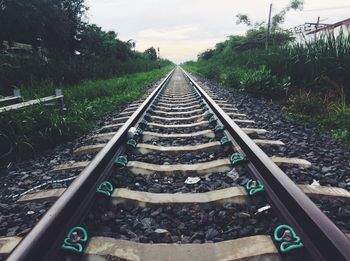 Railroad tracks amidst trees against sky