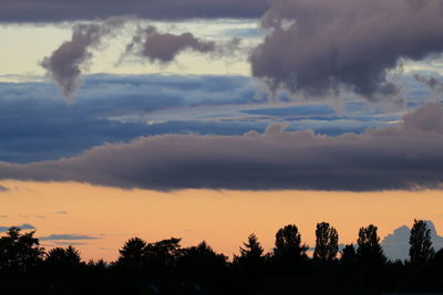 Silhouette of trees against dramatic sky