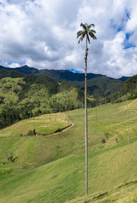 Scenic view of landscape against sky