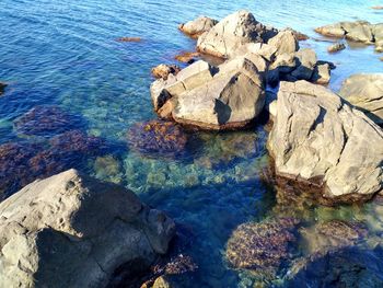 High angle view of rocks in sea