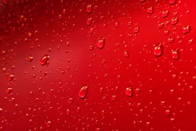 Full frame shot of wet glass window
