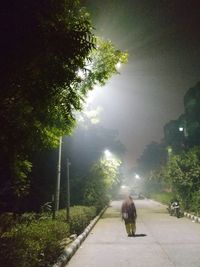 Rear view of man walking by tree against sky