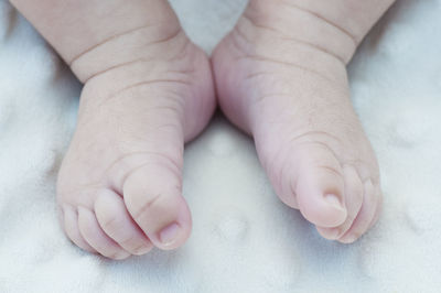 Low section of baby feet