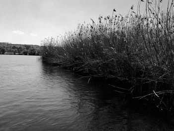 Scenic view of river against sky