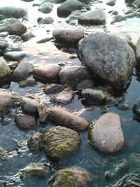 Rocks in the sea