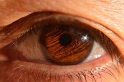 Extreme close up of eye