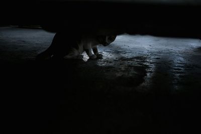 Reflection of people in water