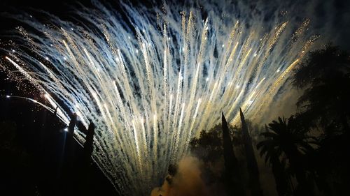 Low angle view of firework display at night