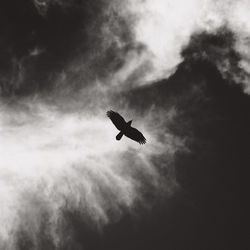 Low angle view of silhouette bird flying against sky