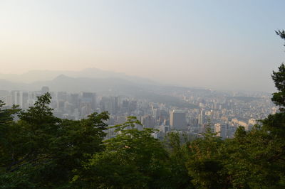 High angle view of trees and buildings against clear sky