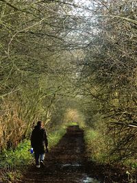 Rear view of woman in park