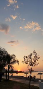 Silhouette trees on beach against sky during sunset