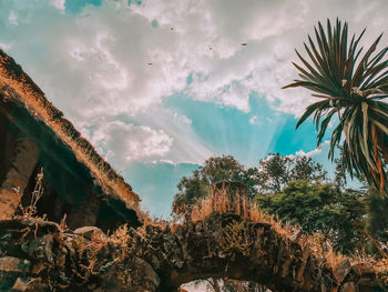 nature