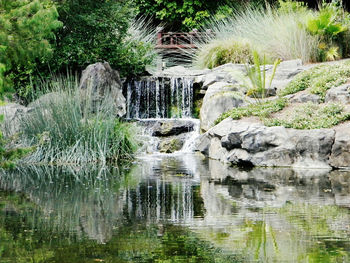 Scenic view of waterfall in forest